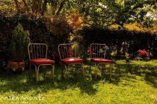 Lodge Miramonte
