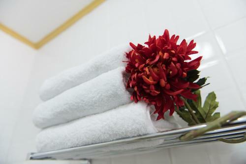 Apartamento The Lush