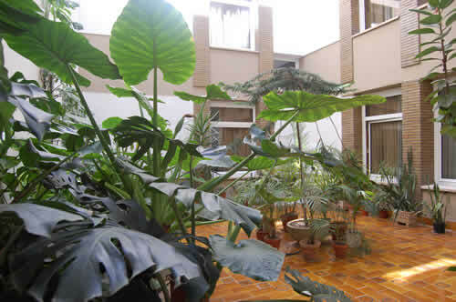 Hotel Pasarela