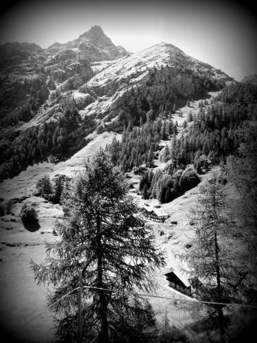 Il Piccolo Residence