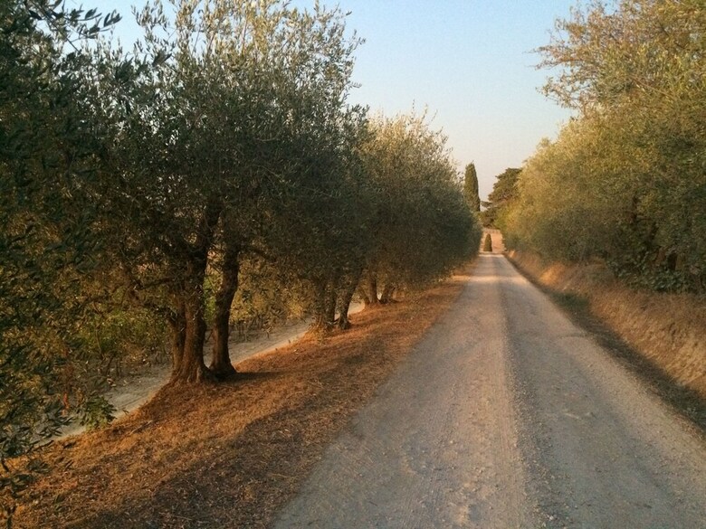 Tenuta Di Corsano