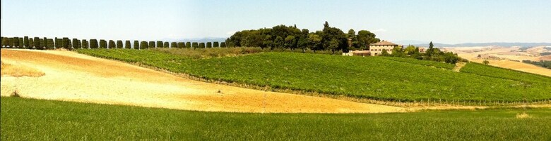 Tenuta Di Corsano