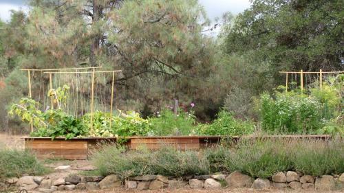 Yosemite Rose Bed And Breakfast