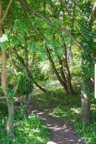 Hotel T Wapen Van Marion