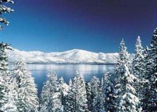 New Home Close To Heavenly W Pine Garden