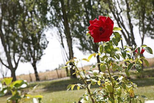 Hostal Le Clos L�onard