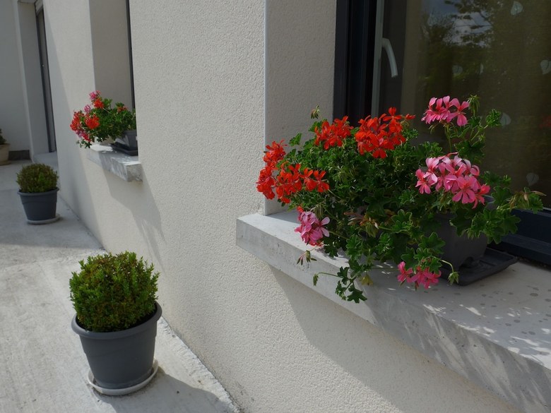 Hostal Maison De Lucin�