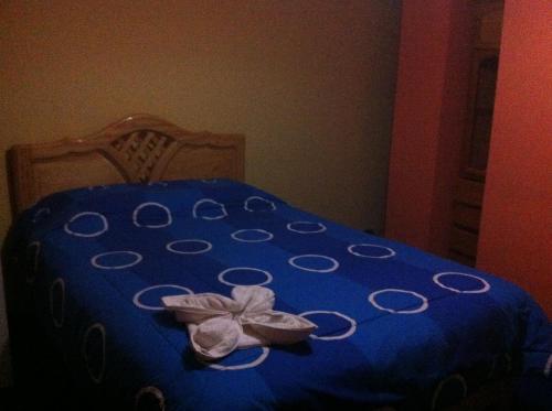 Hotel Plateros