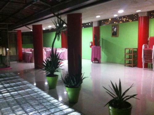 Hotel Plateros