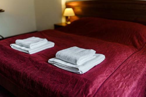 Posada Hotel Pod Borem