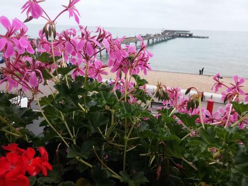 Waterfront Hotel