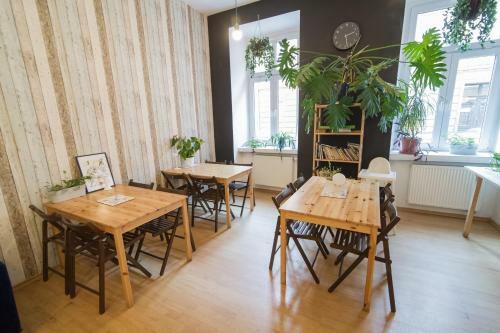Hostel Cinnamon