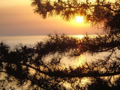 Hotel Marshal Resort Kobuleti