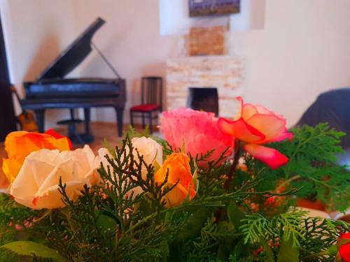 Hotel Ameli