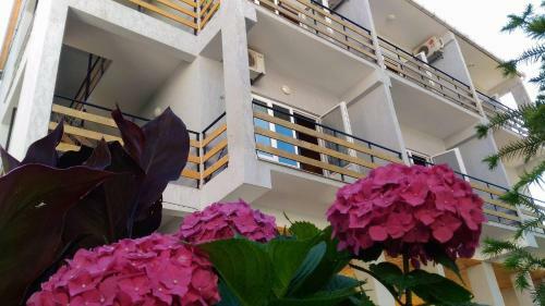 Hotel Kaprovani