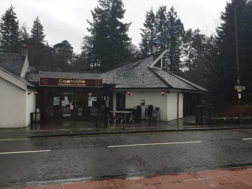 Hotel Capercaillie