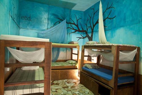 Hotel Oasis Beach Resort