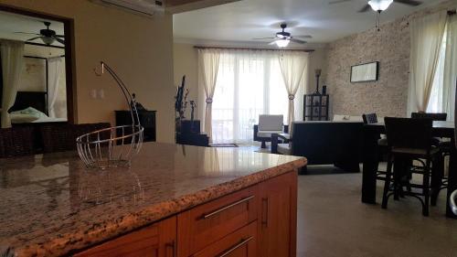 Hispaniola Beach Ocean View Apartment