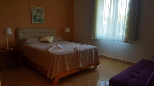 Hispaniola Beach Ocean View Apartment