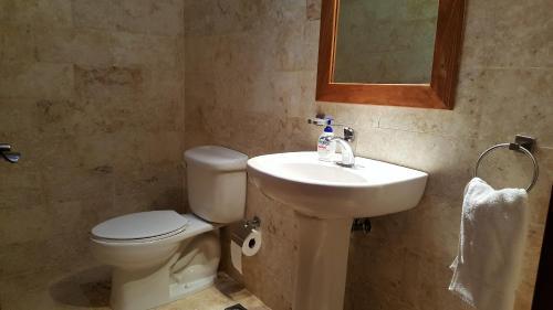 Hispaniola Beach Ocean View Apartment