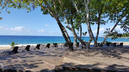 Hispaniola Beach Ocean View Apartment