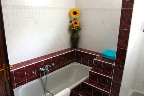 Ibolya Apartmanok