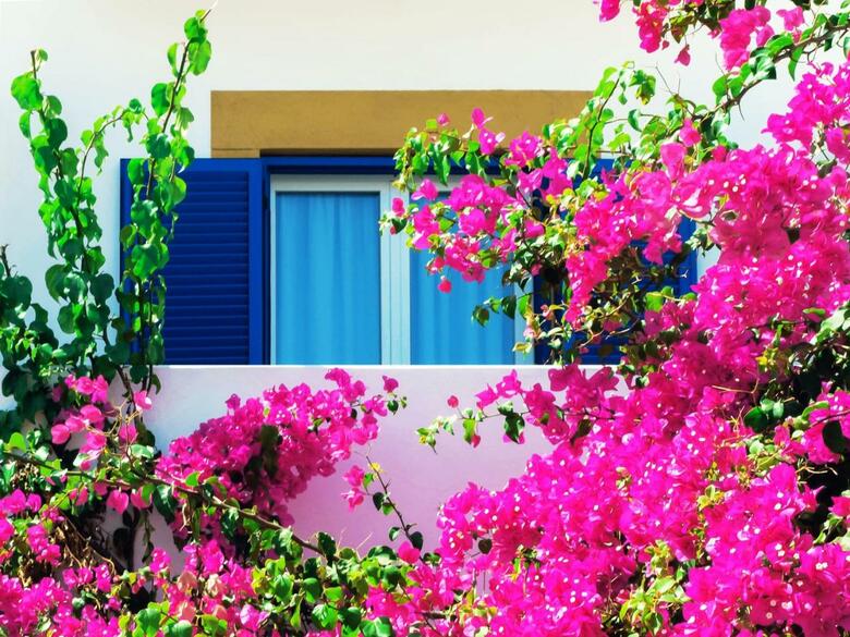 Patmos Paradise Hotel
