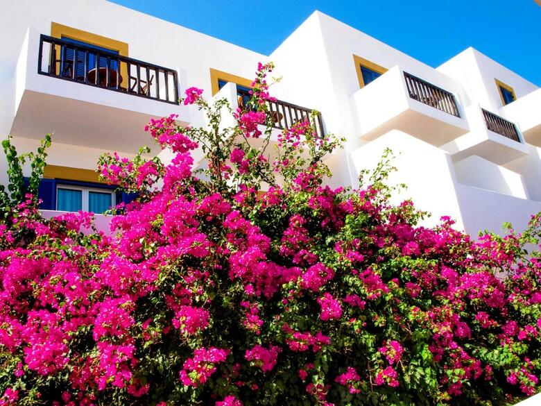 Patmos Paradise Hotel