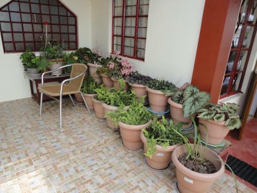 Hostal Dew Drop In