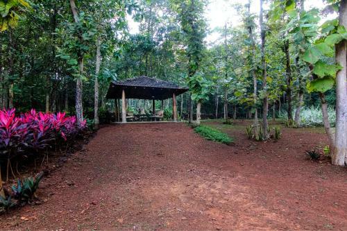 Ikshaa Villa