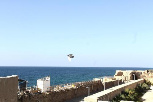 Authentic Apartment In Acre
