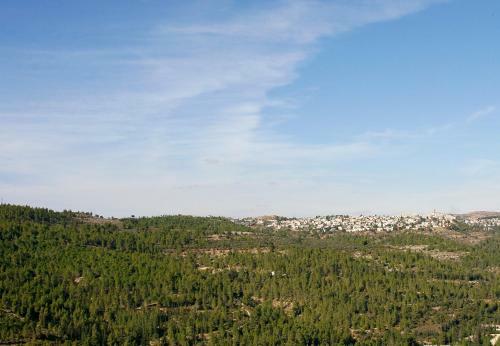 Ein Kerem Hotel