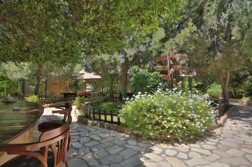 Hotel Mountain Breeze Resort