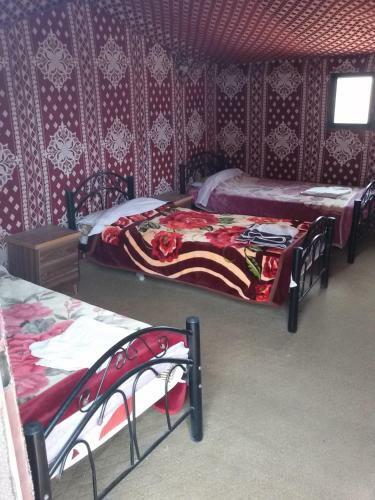 Azzabi Nomad Camp