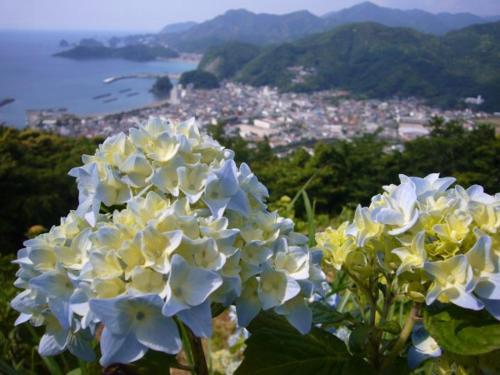 Hostal Guest House Itokawa