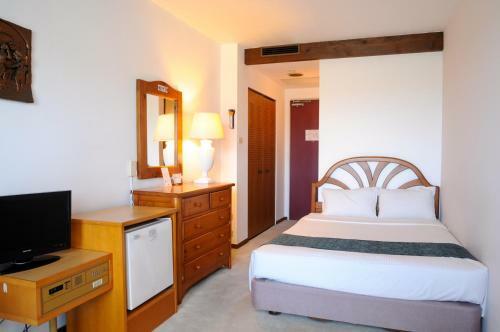 Tateyama Resort Hotel