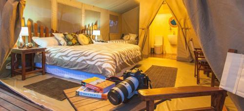 Wildebeest Eco Camp