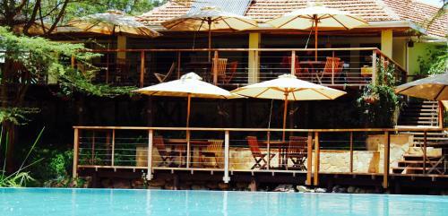 Wildebeest Eco Camp