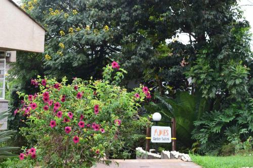 Hostal Adies Garden Suites