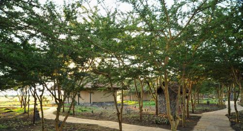 Lodge Sweetwaters Serena Camp