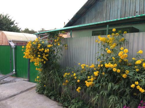 Hostal Dos Guesthouse