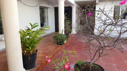 Apartamento Suites Rosas