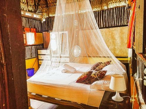 Casa Maya Lodge, Robinson Crusoe Life