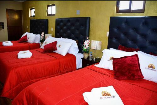 Hotel Milenio