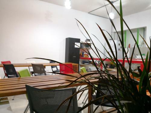 Kaban Hostel