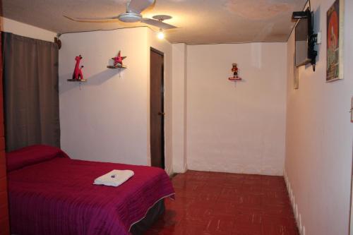 Hotel Frida Khalo