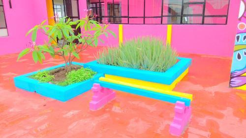 Hotel Frida Khalo