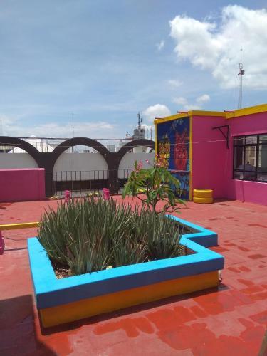 Hotel Frida Khalo