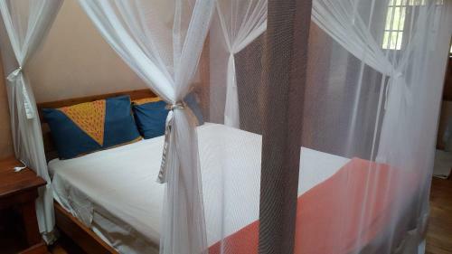 Hostal Barefoot In Barra