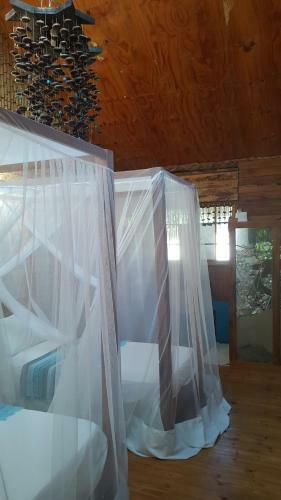 Hostal Barefoot In Barra